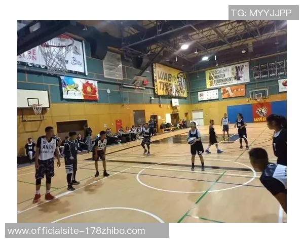 南京羽毛球队与武汉羽毛球队赛后复盘力量对比分析与战术总结